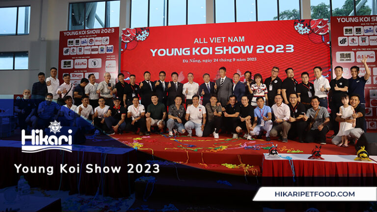 All Vietnam Young Koi Show 2023
