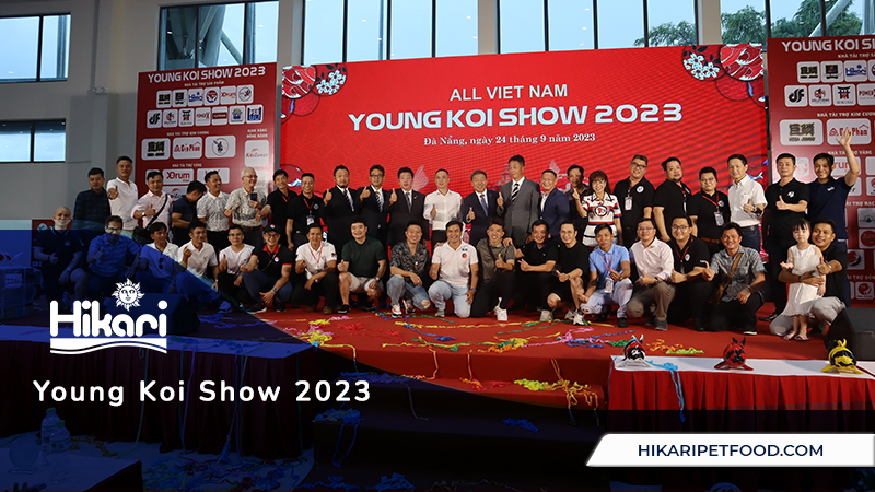 Young Koi Show 2023