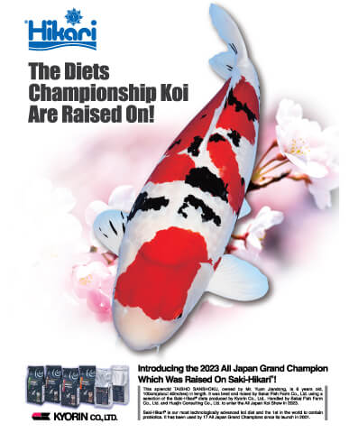 The Diet Champions Koi Are Raised On