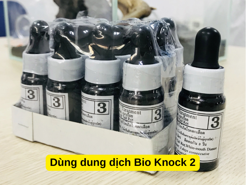 Dùng dung dịch Bio Knock 2