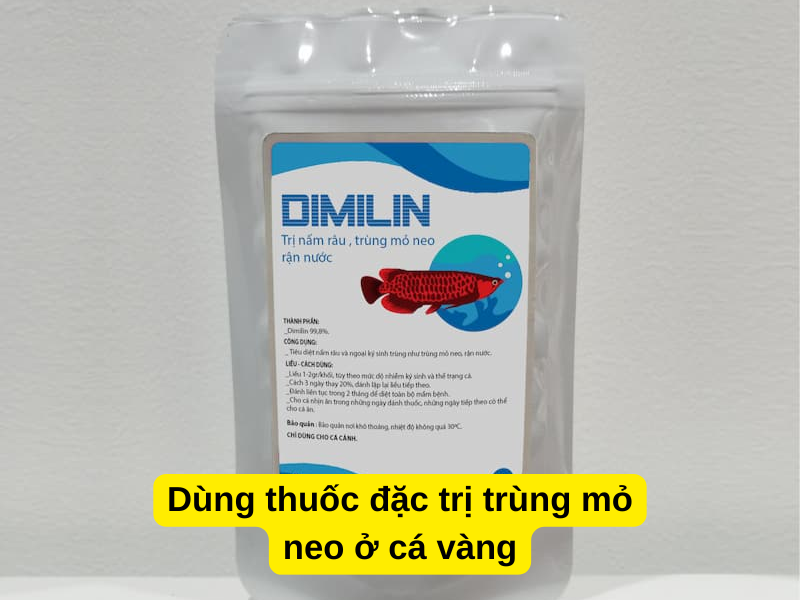 Dùng thuốc đặc trị trùng mỏ neo ở cá vàng