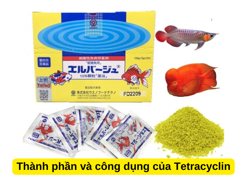 Thành phần và công dụng của Tetracyclin