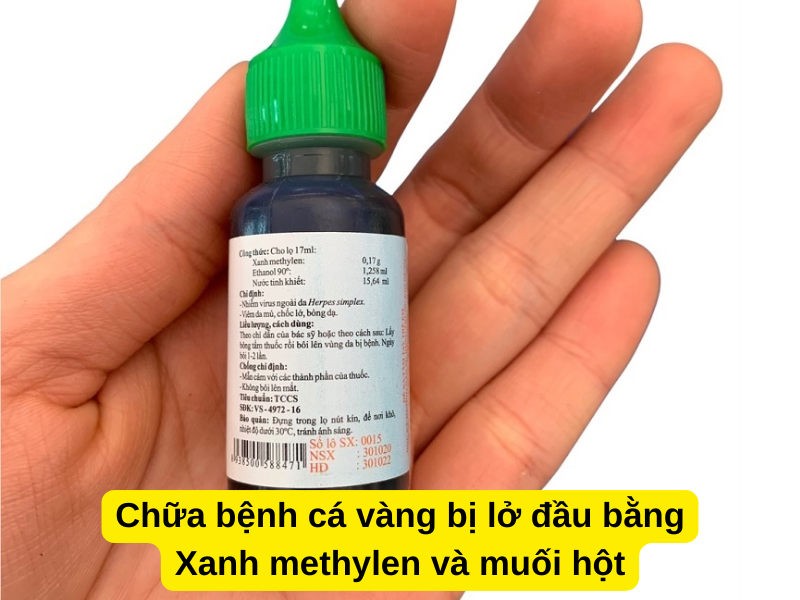 Chữa bệnh cá vàng bị lở đầu bằng Xanh methylen và muối hột