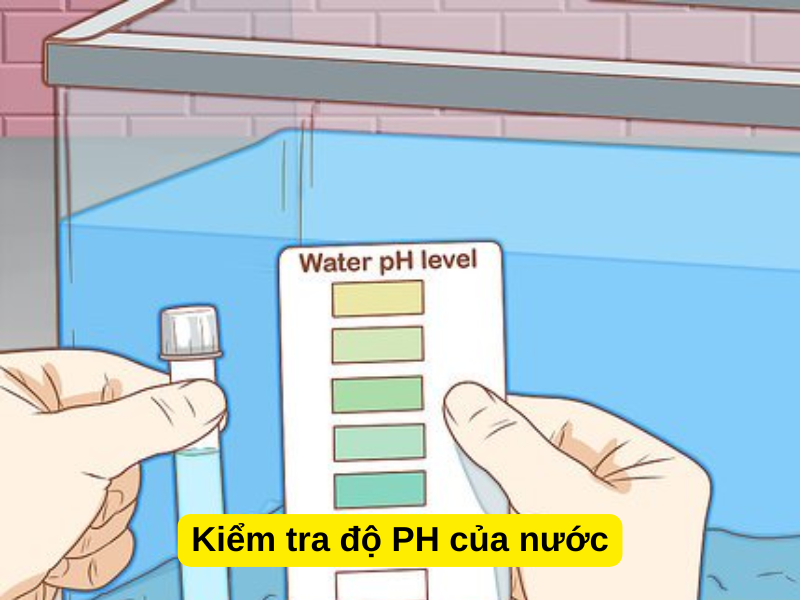 Kiểm tra độ PH của nước