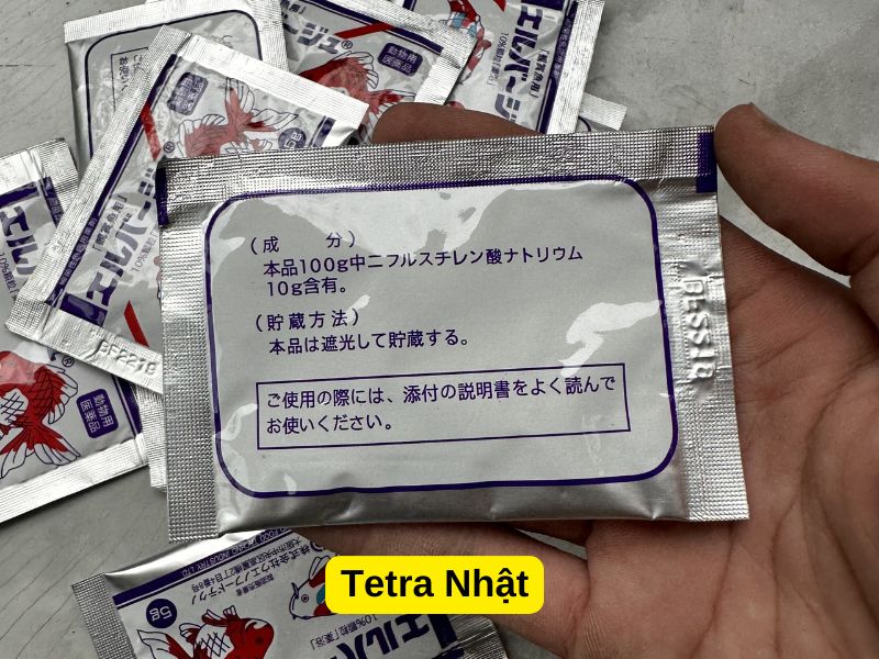 Tetra Nhật