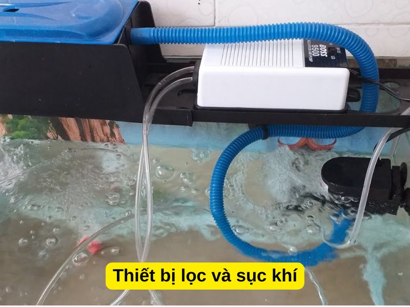 Thiết bị lọc và sục khí