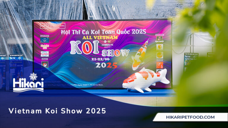 Vietnam Koi Show 2025
