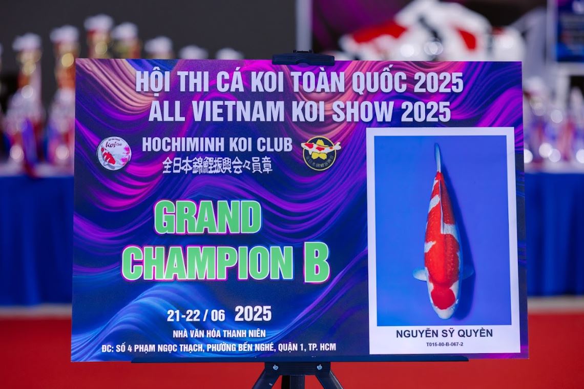 Grand Champion B Vietnam Koi Show 2025