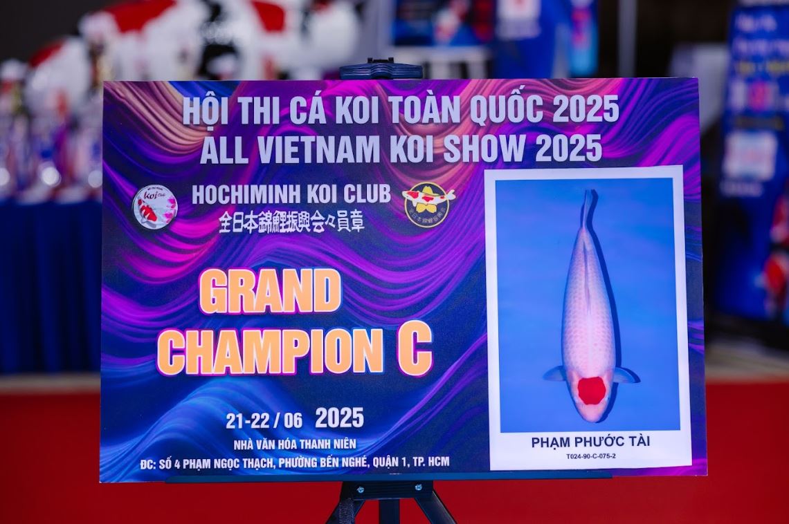 Grand Champion C Vietnam Koi Show 2025