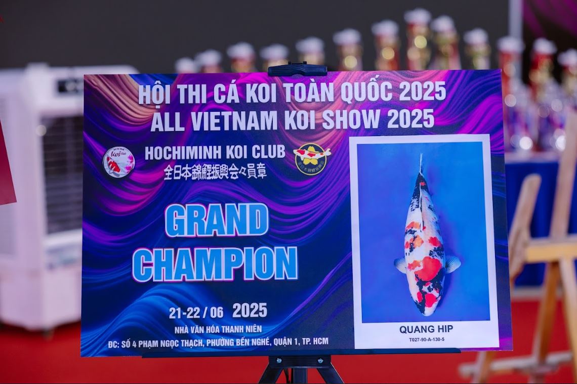 Grand Champion Vietnam Koi Show 2025