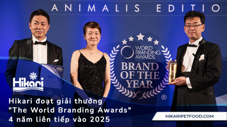 Hikari đoạt giải thưởng "The World Branding Awards" 4 năm liên tiếp vào 2025