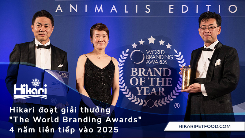 Hikari đoạt giải thưởng "The World Branding Awards" 4 năm liên tiếp vào 2025