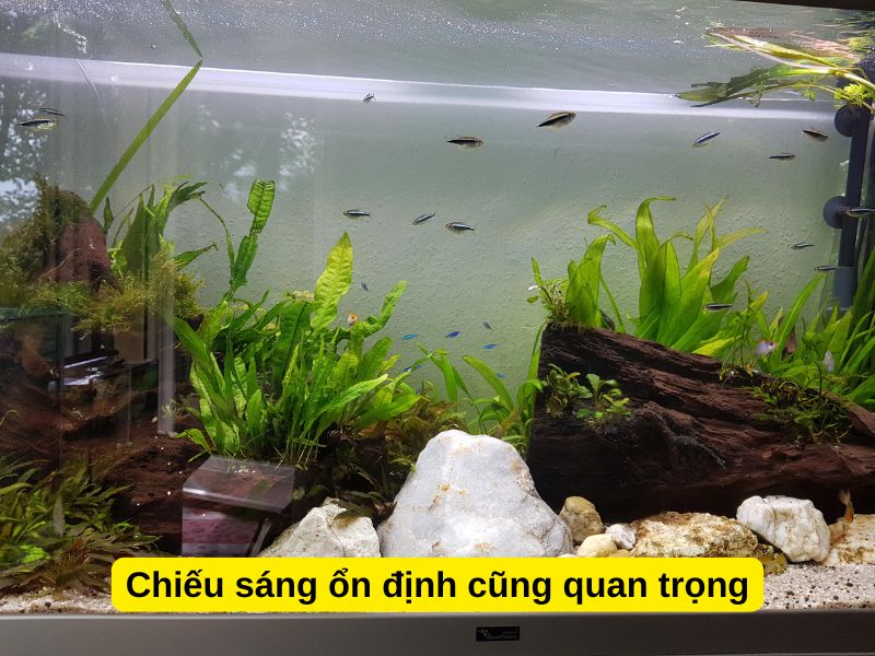 Chiếu sáng ổn định cũng quan trọng