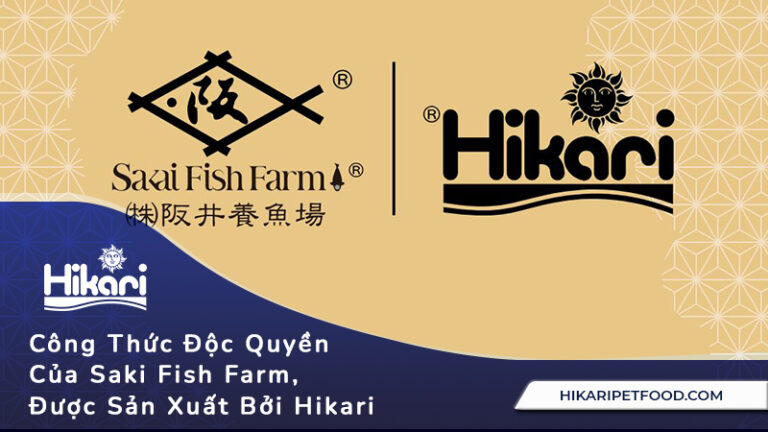 Công Thức Độc Quyền Của Saki Fish Farm, Được Sản Xuất Tại Nhật Bản Bởi Hikari