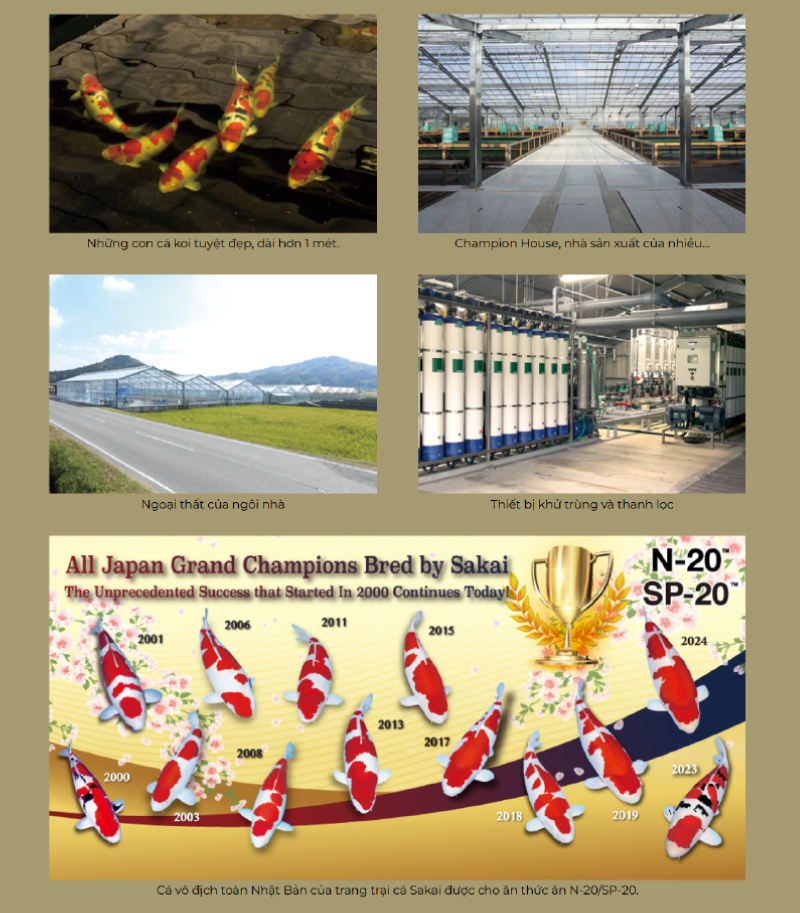 Công ty TNHH Saki Fish Farm
