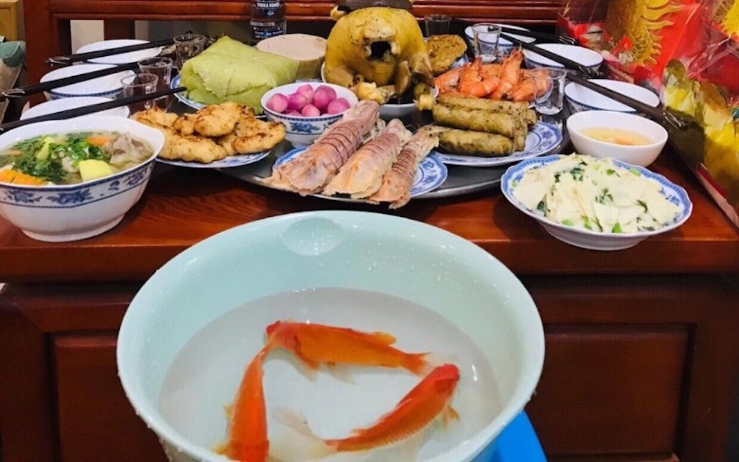 Cá chép vàng thả phóng sinh lễ ông Công ông Táo
